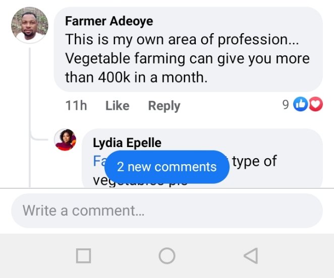 Vegetable farming