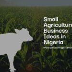 Small Agricultural Business Ideas in Nigeria