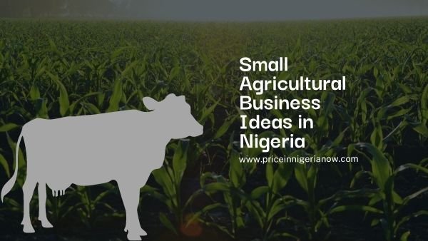 50 Agricultural Business Ideas In Nigeria (Best Picks)