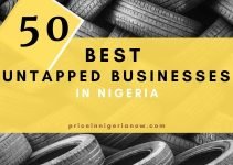 50 Untapped Businesses in Nigeria (2024 Evergreen Ideas)