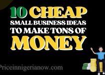 10 Cheapest Businesses to Start in Nigeria (2023 Best Picks)
