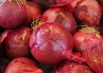 Prices of Onions in Nigeria (February 2024)